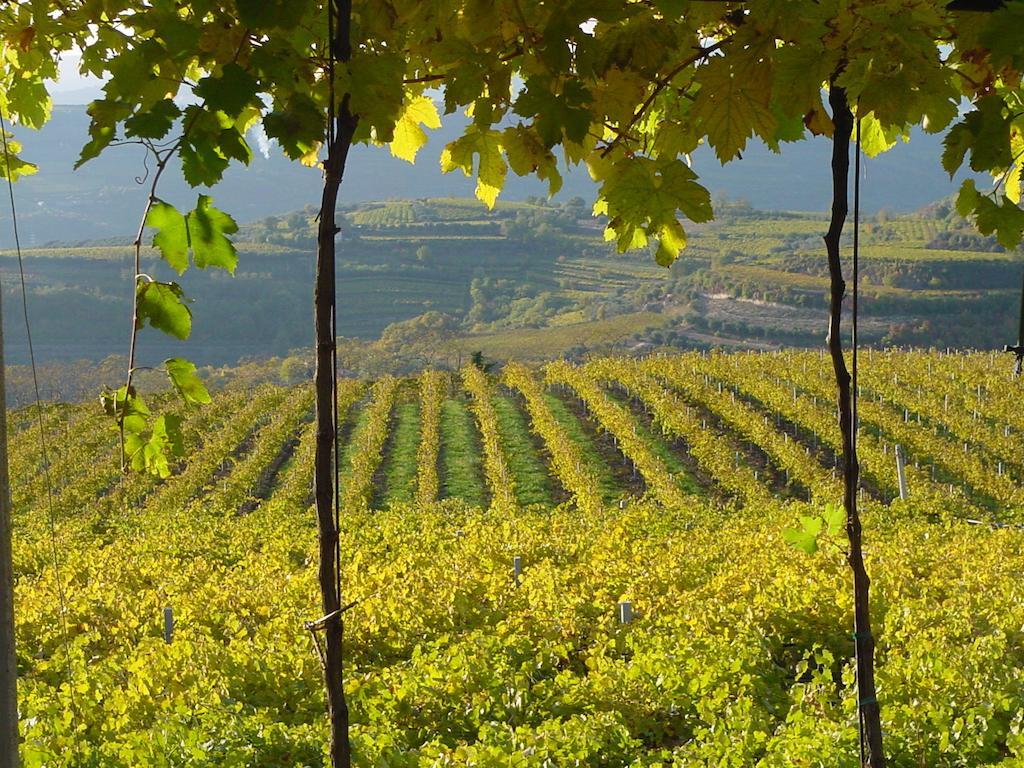 B&B Camignone Franciacorta Passirano Zewnętrze zdjęcie