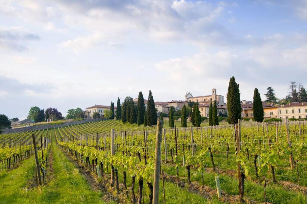 B&B Camignone Franciacorta Passirano Zewnętrze zdjęcie
